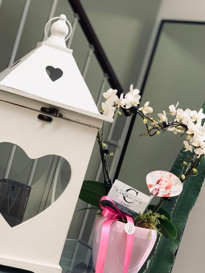 Cameracaffe Sul Lago アレッツォ エクステリア 写真