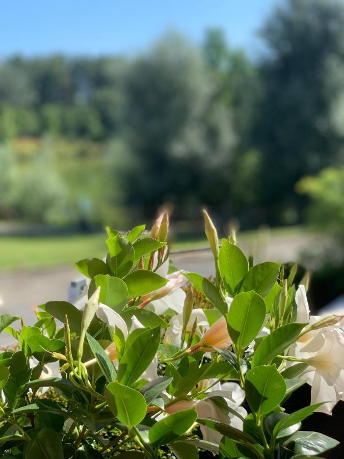 Cameracaffe Sul Lago アレッツォ エクステリア 写真
